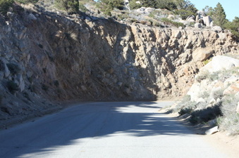 Enlarge photo 105