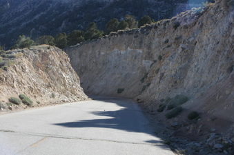 Enlarge photo 107