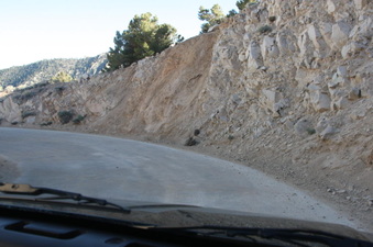 Enlarge photo 110