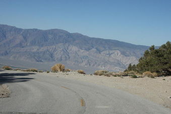 Enlarge photo 115