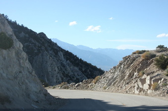 Enlarge photo 118