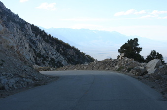 Enlarge photo 121