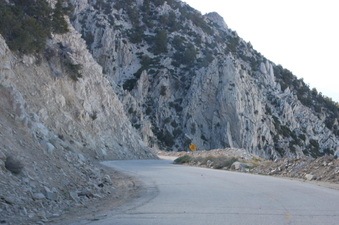 Enlarge photo 122
