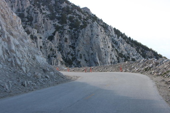 Enlarge photo 124