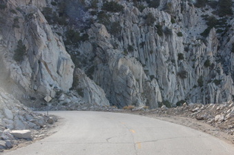 Enlarge photo 127