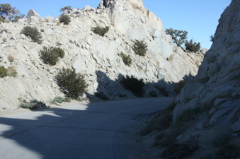 Enlarge photo 145