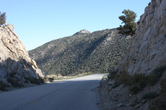 Enlarge photo 146
