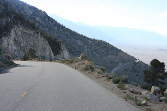 Enlarge photo 153