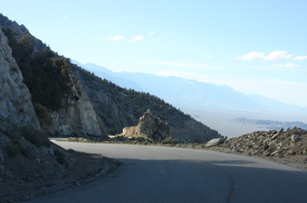 Enlarge photo 154