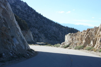 Enlarge photo 157