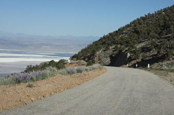 Enlarge photo 160