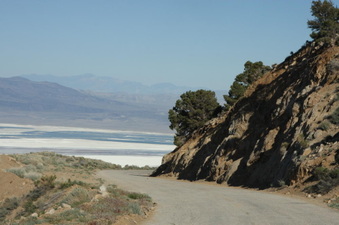 Enlarge photo 162