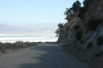 Enlarge photo 165