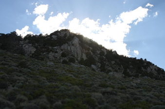 Enlarge photo 166