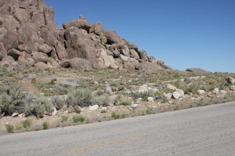 Enlarge photo 24