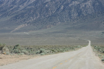 Enlarge photo 41