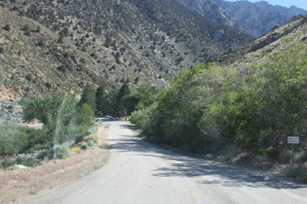 Enlarge photo 59