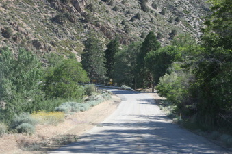 Enlarge photo 60