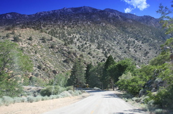 Enlarge photo 61