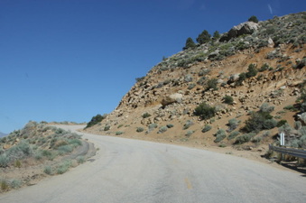 Enlarge photo 62
