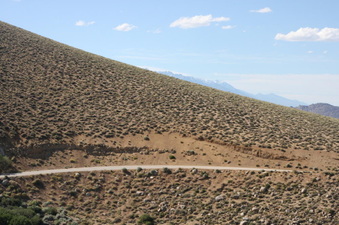 Enlarge photo 65