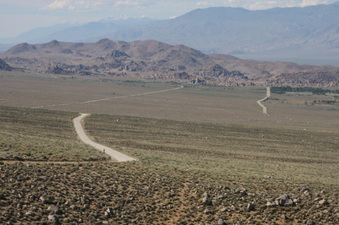 Enlarge photo 67