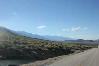 Enlarge photo 87