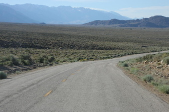 Enlarge photo 95