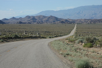Enlarge photo 99