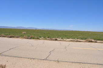 Enlarge photo 22