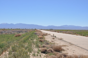 Enlarge photo 23