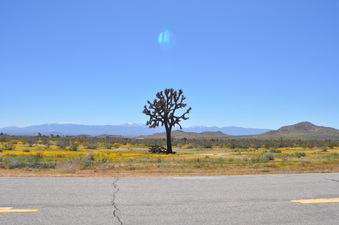 Palmdale/Angeles Forest Area Roads