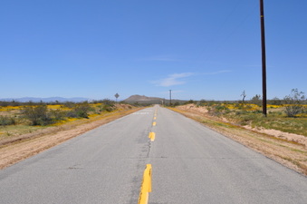 Enlarge photo 3