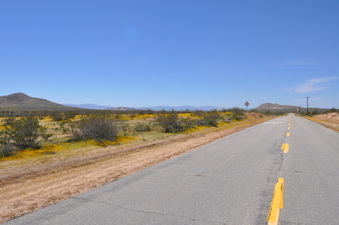Enlarge photo 4