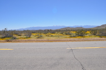 Enlarge photo 7
