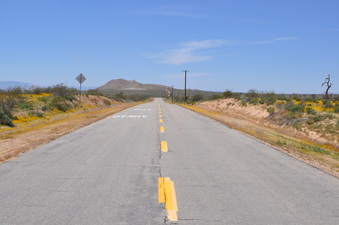 Enlarge photo 8
