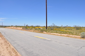Enlarge photo 11