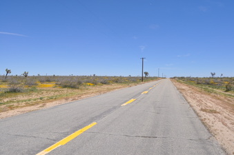 Enlarge photo 13
