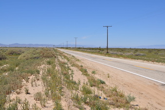 Enlarge photo 5