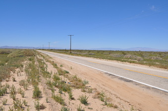 Enlarge photo 6
