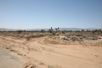 Enlarge photo 26