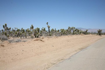 Enlarge photo 28