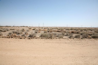 Enlarge photo 30