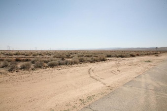 Enlarge photo 31