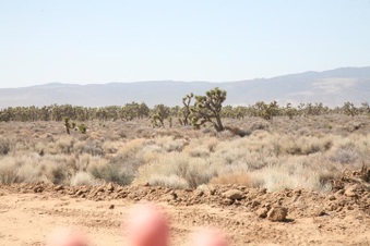 Enlarge photo 32