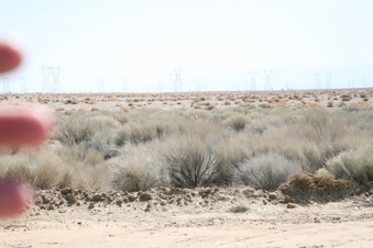 Enlarge photo 33