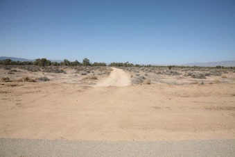 Enlarge photo 34