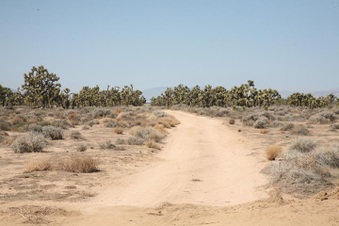 Enlarge photo 35