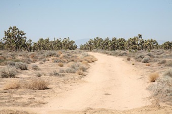 Enlarge photo 36