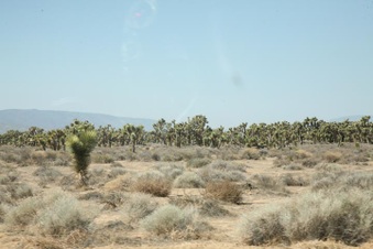 Enlarge photo 37